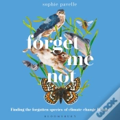 Capa do artigo Forget Me Not