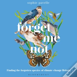 Capa do artigo Forget Me Not