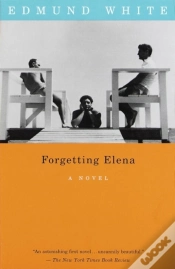 Capa do artigo Forgetting Elena