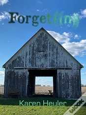 Capa do artigo Forgetting