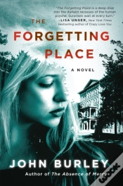Capa do artigo Forgetting Place