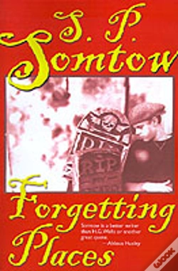Capa do artigo Forgetting Places