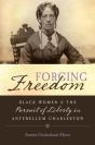 Forging Freedom - Preview