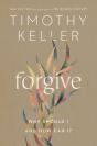 Forgive - Preview