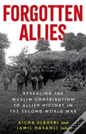 Capa do artigo Forgotten Allies