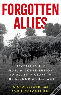 Capa do artigo Forgotten Allies
