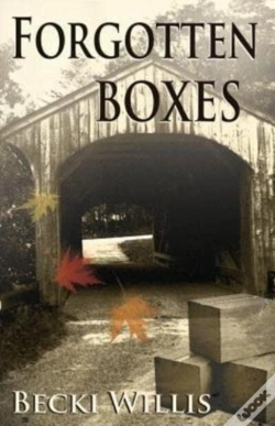 Capa do artigo Forgotten Boxes