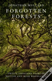 Capa do artigo Forgotten Forests