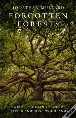 Capa do artigo Forgotten Forests