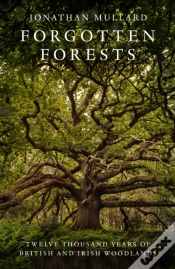 Capa do artigo Forgotten Forests