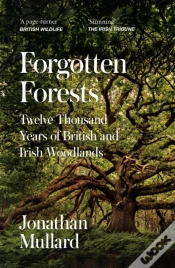 Capa do artigo Forgotten Forests