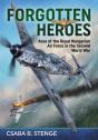 Forgotten Heroes - Preview