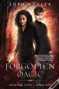 Capa do artigo Forgotten Magic