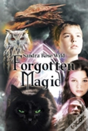 Capa do artigo Forgotten Magic