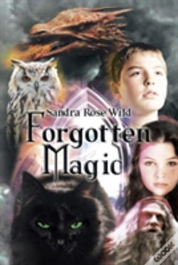 Capa do artigo Forgotten Magic