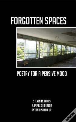 Capa do artigo Forgotten Spaces