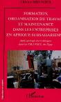 Formation Organisation Du Travail Et Maintenance Dans Les Entreprises En Afrique Subsaharienne - Preview
