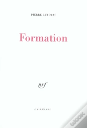 Capa do artigo Formation