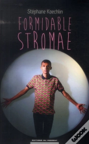 Capa do artigo Formidable Stromae