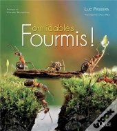 Formidables Fourmis !