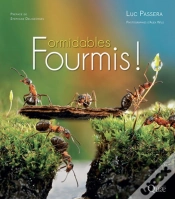 Capa do artigo Formidables Fourmis !