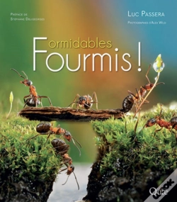 Capa do artigo Formidables Fourmis !