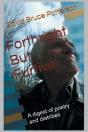 Forthright But Furtive - Preview