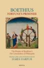 Fortune'S Prisoner - Preview