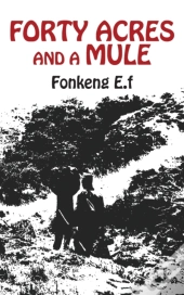 Forty Acres And A Mule