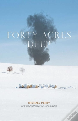 Capa do artigo Forty Acres Deep
