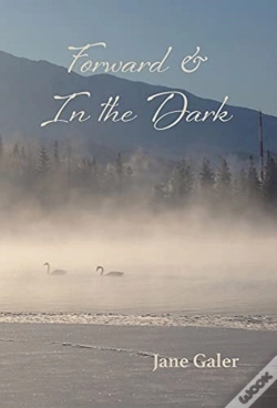 Capa do artigo Forward & In The Dark