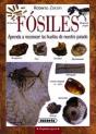 Fósiles - Preview