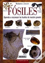 Capa do artigo Fósiles