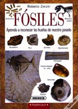 Capa do artigo Fósiles