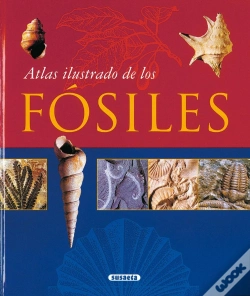 Capa do artigo Fósiles