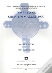 Capa do artigo Fosse Lane Shepton Mallet 1990