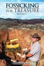 Fossicking For Treasures Vol. I - Preview