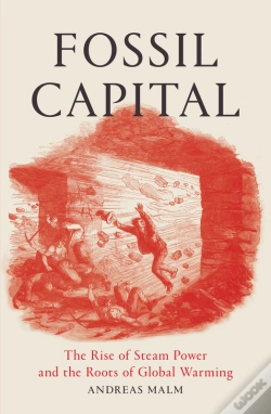 Capa do artigo Fossil Capital