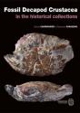 Fossil Decapod Crustacea In The Historical Collections - Preview