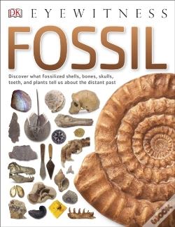 Capa do artigo Fossil
