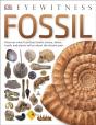 Fossil - Preview