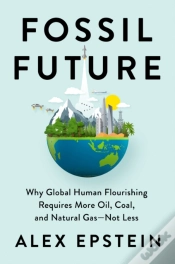 Capa do artigo Fossil Future