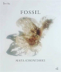 Fossil - Preview