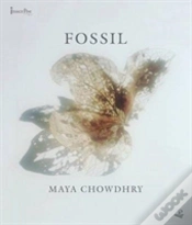 Capa do artigo Fossil