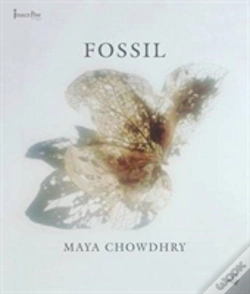 Capa do artigo Fossil