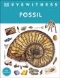 Fossil - Preview