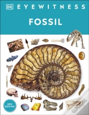 Capa do artigo Fossil