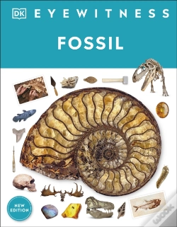 Capa do artigo Fossil