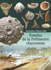 Fossiles De La Préhistoire Charentaise