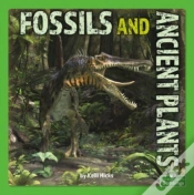 Capa do artigo Fossils And Ancient Plants